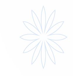 南宫28·(中国区)官方网站-NG_28