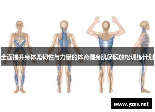 全面提升身体柔韧性与力量的体育健身肌筋膜放松训练计划